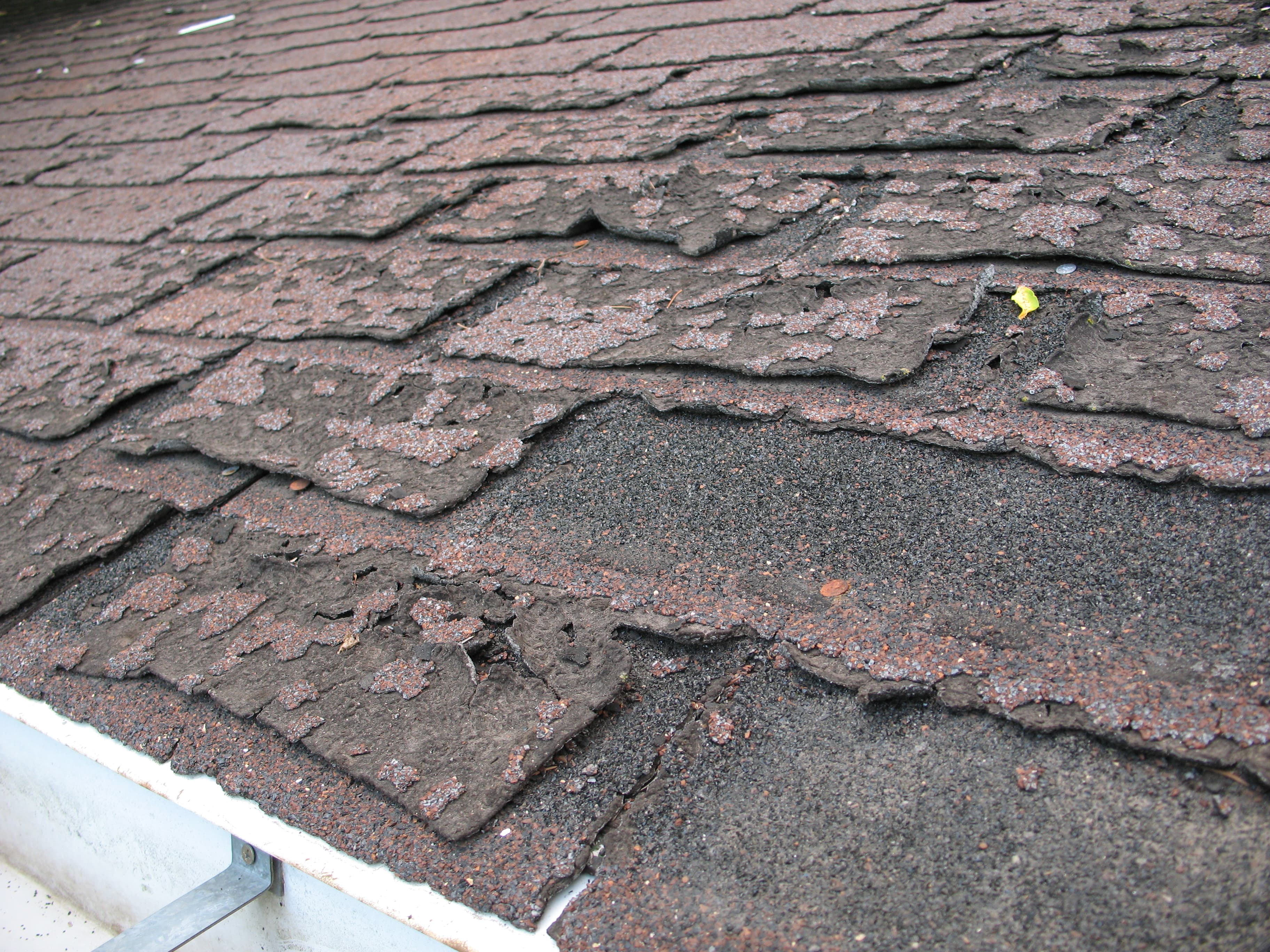 Hail Damage Roof Repair in Buda - Hail-damaged roof shingles