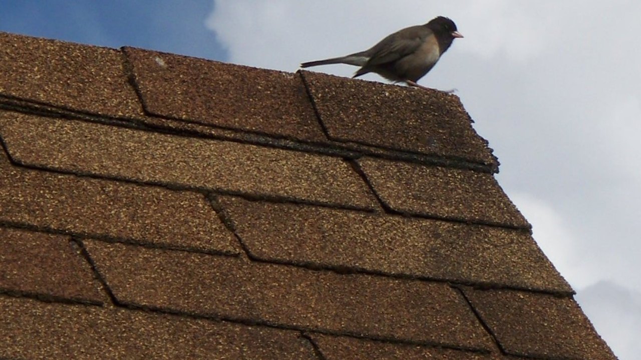 Affordable Roof Replacement in Austin, TX - Affordable asphalt shingle roofing