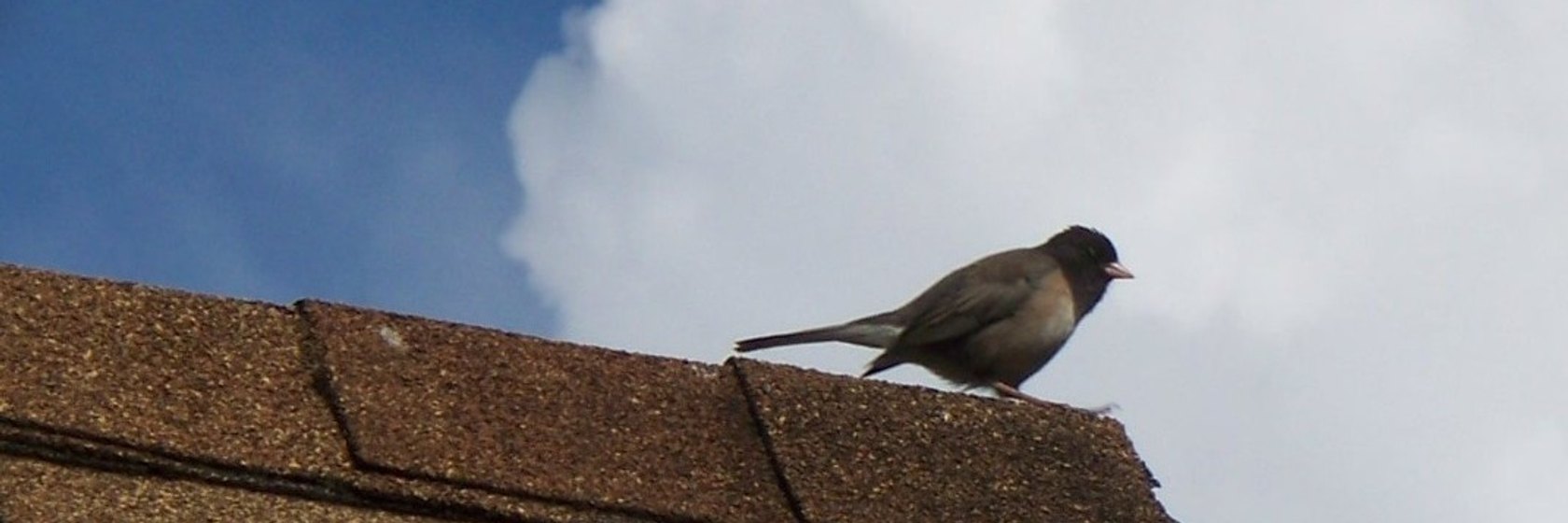 Roof Replacement in Kyle - Completed shingle roof replacement
